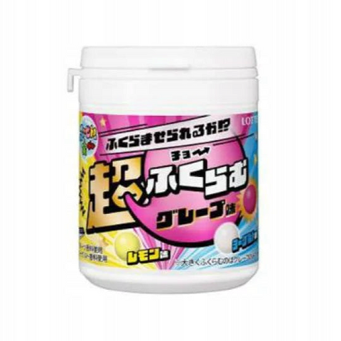 Lotte Fuusen no Mi Bottle Waku Waku Mix Gum 131g