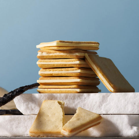 Tokyo Milk Cheese Factory Summer Limited Edition Vanilla Mascarpone Cheese Cookies 9 Pcs