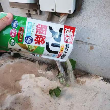 Ant extermination powder type